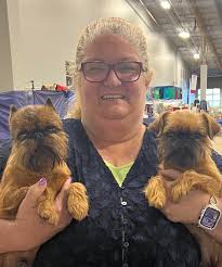 Genesis Brussels Griffons