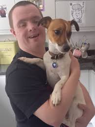 Introduction to 8 week old Jack Russell Terrier