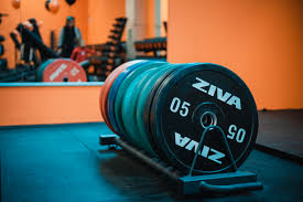 FitActive - il Fitness x Tutti - Palestre in Franchising, 24h24 a 19,90€ !