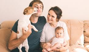 Finde günstige immobilien zur miete. Tipps Fur Wohnungssuche Mit Hund Umzugstipps Fur Tierbesitzer