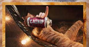 A Drinking Game To Play While Watching Cats The Movie