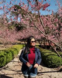 Gabriela Lau Porto | Finanças (@gabriela.lau) • Instagram photos ...