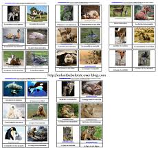 Cartes Nomenclature A Imprimer Les Animaux Et Leurs Bebes Enfant Bebe Loisir Imagier Animaux Bebes Animaux Animaux