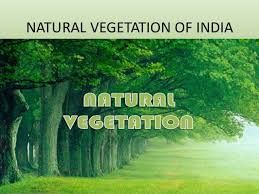 Image result for CBSE Class 09 Social Science Revision Notes Chapter - 5 Geography - NATURAL VEGETATION AND WILDLIFE