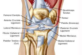 We also cover some causes specific to females and males and. Reasons For Pain Behind In Back Of The Knee
