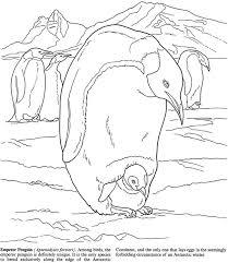 Welcome To Dover Publications Penguin Coloring Pages Penguin Coloring Coloring Pages