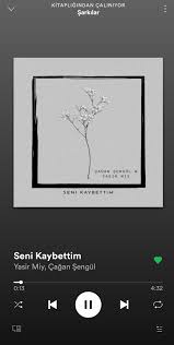 Ily Adli Kullanicinin Spotify Panosundaki Pin