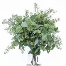Types of eucalyptus cut flowers. Eucalyptus Seeded Charlotte Flower Market Seeded Eucalyptus Flower Arrangements Wholesale Flowers