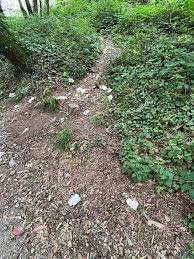 Dirty pilgrims leave trash on Camino de Santiago - Facebook