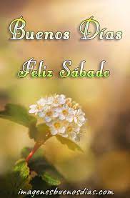 Donde estes, te deseo un feliz día mi amor. 220 Ideas De Sabado En 2021 Feliz Sabado Saludos De Buenos Dias Buenos Dias Feliz Sabado