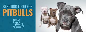 There's a wide variety of food ingredients that are known to cause reactions in if you suffer from allergies, you know how irritating and miserable reactions can be. 5 Best Dog Food For Pitbulls In 2021 Animalso