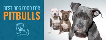 5 best dog food for pitbulls in 2020