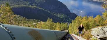 Image result for flørli