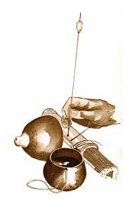 Image result for Malouetia bequaertiana