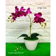 Berikut adalah beberapa gambar bunga anggrek kartun yang sangat cantik. Rangkaian Bunga Anggrek Bulan D12 Shopee Indonesia