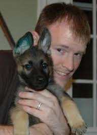 Matthew Dykstra Obituary (2014)