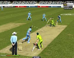 Image result for cricket play ground