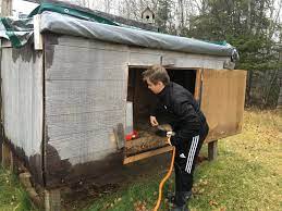If you are intensively housing your ducks so they stay confined within an assigned, fenced space at all times, they also need at least 15 square feet of outdoor space per duck. How To Build A Duck Coop Hello Homestead