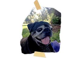 Phoebe bridgers already knows you think her songs are sad. Phoebe Bridgers On The 10 Things That Influenced Her New Album Punisher Pitchfork