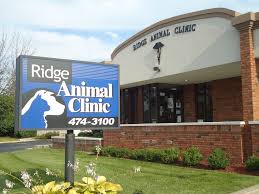 At pet care clinic, everyone is considered a leader and an integral member of the health care delivery team. Oz Animal Hospital Lincoln Park Home Facebook