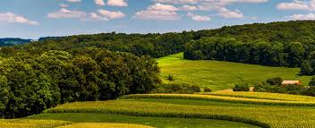 8 flooring stores in greater pittsburgh. Oxi Fresh Carpet Cleaning Emmaus Pa Oxifresh