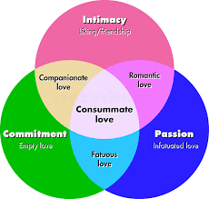 Triangular Love Theory Png Png Grafik 1600 1528 Pixel Skaliert 36 Triangular Theory Of Love Theory Of Love Marriage Counseling