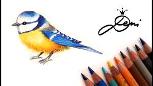 Taube Zeichnen Lernen Wie Zeichnet Man Einen Vogel How To Draw A Bird Pigeon Youtube