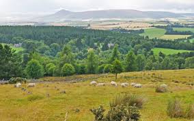 Sie sind das am dichtesten besiedelte gebiet in schottland. Lowland Whisky Die 6 Besten Abfullungen Top Liste