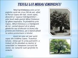 Mihai eminescu would have been 39 years old at the time of death or 165 years old today. Mihai Eminescu Prezentaciya Onlajn
