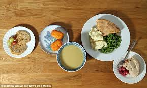 By finishing them in the beer sauce they just get better and better. Mother S Recipes For How To Feed Yourself For 1 A Day Daily Mail Online