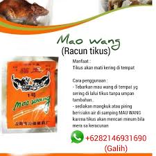 Check spelling or type a new query. Cara Halau Tikus Dalam Enjin Kereta