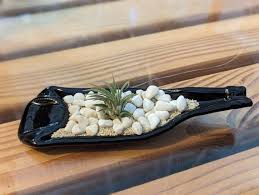 Beer Bottle Dish With White Stones and Airplant