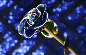 Get them a gift that will last as long as your love. Unique Valentine S Day Gift From Steven Singer Jewelers The Gold Dipped Roses Collectibles Laptrinhx News