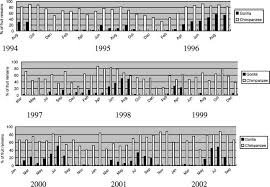 Image result for Globimetula kivuensis