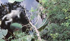 Kemudian saksi 2 (wahyu) membantu mengambil dari atas sungai, ujarnya. Hendak Mancing Temukan Orok Membusuk Di Kolam Grand Sudirman