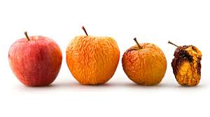 Für manche menschen ist die true true fruits are truly the most straightforward smoothies ever. True Fruits Werbung So Funktioniert Die Perfide Masche Dahinter Stern De