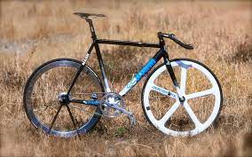 cinelli mash histo จ กรยาน