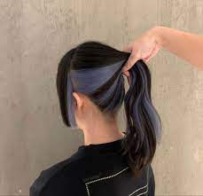 Split Half Under Blue And Black Dyed Hair Hidden Hair Color Hair Dye Colors Peekaboo Hair