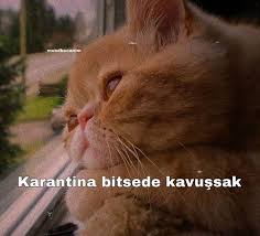 Irem Yaren Adli Kullanicinin Ilham Veren Alintilar Panosundaki Pin 2020 Komik Ilham Veren Alintilar Guzel Soz