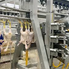 The poultry sector is relatively strong and well developed. China Malaysia Chicken Slaughter A Small Poultry Slaughterhouse Equipment China Poultry Slaughtering Equipment Poultry Processing Slaughtering Equipment