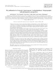 Image result for Riocreuxia chrysochroma