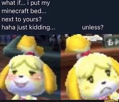 What If I Put My Minecraft Bed Next To Yours Haha Just Kidding Ifunny Cute Memes Animal Crossing Memes Animal Crossing Game