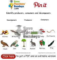 Pin On Year 2 Living Things And Their Habitats Lesson Plans Worksheets And Teaching Resources