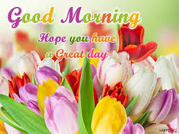 Poetry And Worldwide Wishes Good Morning Image With Tulips Heart Touching Colorful Flowers Morning Images Good Morning Picture Messages Good Morning Images