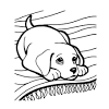 Dan zit je met onze honden kleurplaten helemaal goed! 1