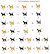 Warrior Cat Tortoiseshell Cat