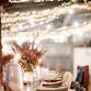  Untamed Dining:  A Foraged & Fire-Cooked Supperclub event image