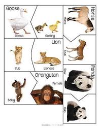 Mother And Baby Animal Self Correcting Puzzles Activity There Are 20 Puzzle Pairs Using Real Photographs Mother And Baby Animals Animal Lessons Animal Puzzle