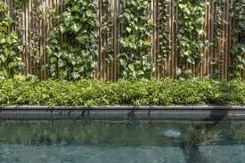 Contemporary Garden By Eugene Gilligan Garden Design Contemporary Garden Contemporary Decor Contemporary