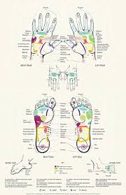 Reflexology Chart Amazon Co Uk Kitchen Home